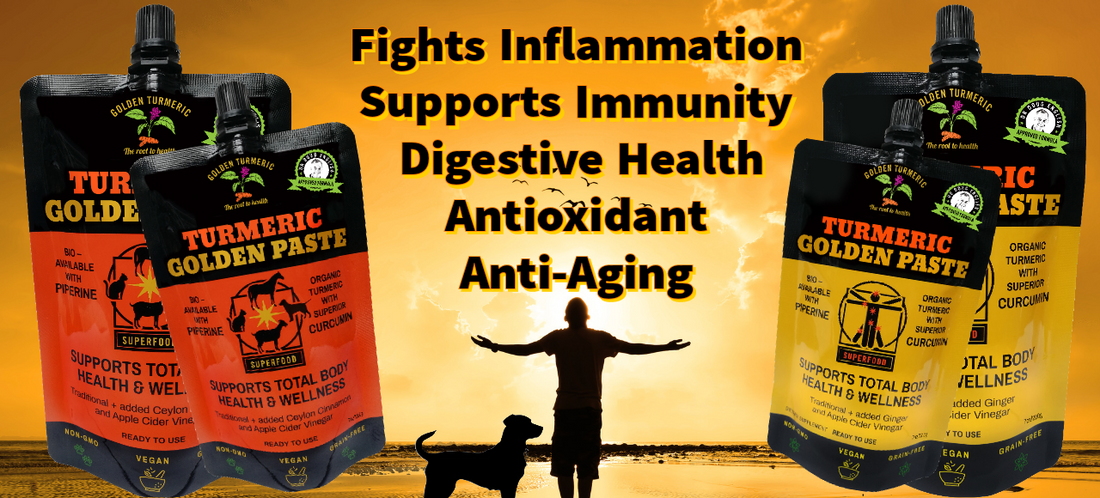 Turmeric Golden Paste Recipe Enhances Turmeric Healing Power