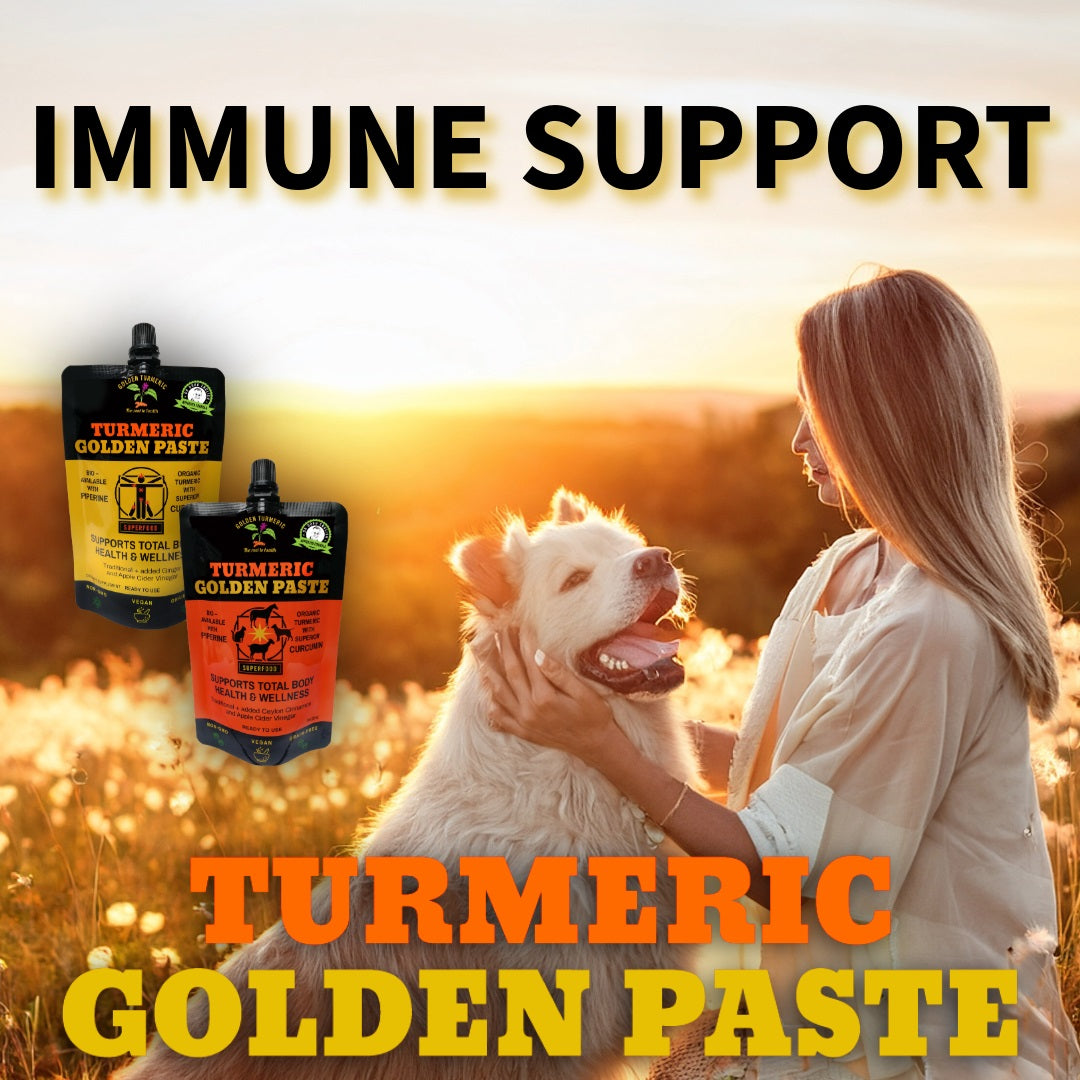 Turmeric Curcumin for Immune Support