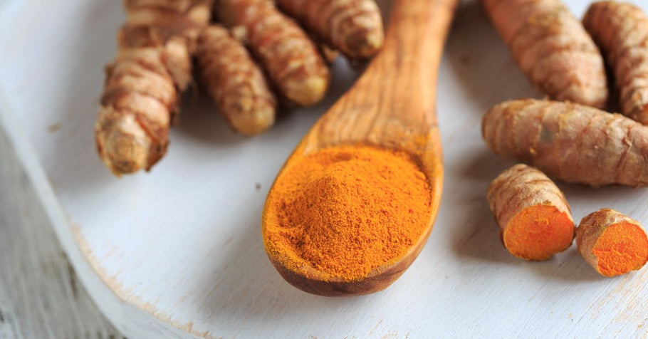 Powdered Turmeric or Fresh Turmeric: Which is better?